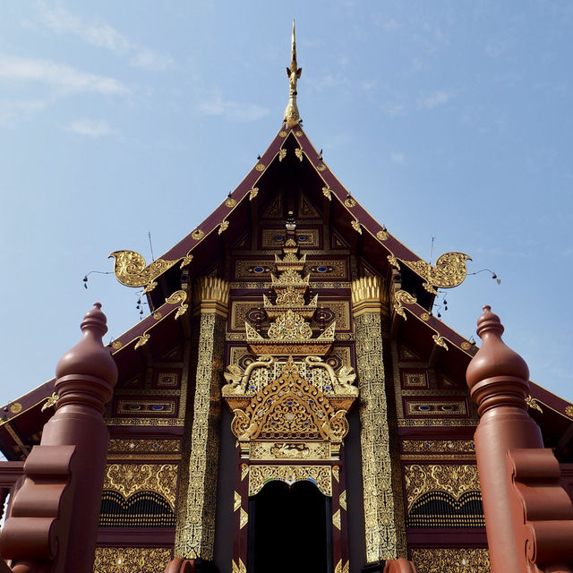 อุทยานหลวงราชพฤกษ์ จ.เชียงใหม่ คนรักดอกไม้ห้ามพลาด