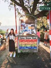 我在Lynn Street Mini Park靜謐的欣賞聯合湖✨