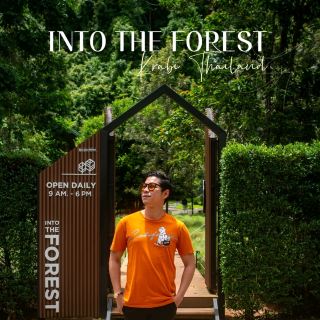 Into The Forest