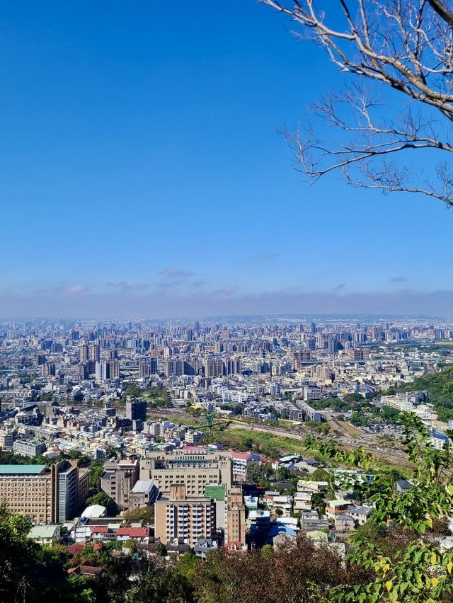 靜謐山林裡的大佛手——南觀音山步道小旅行