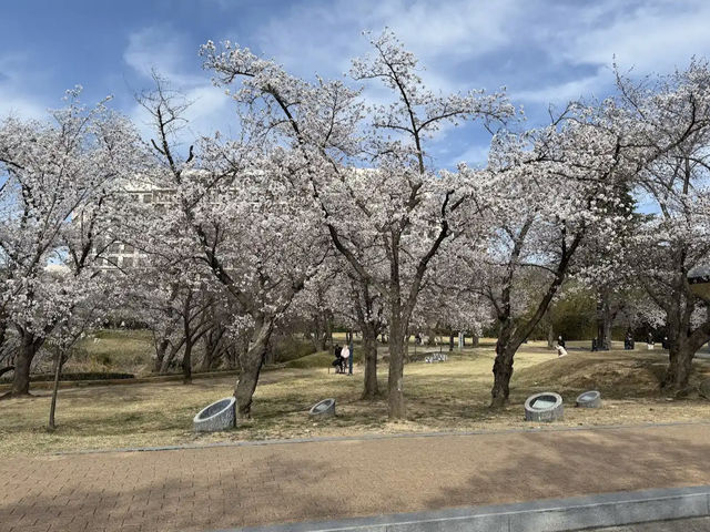 Bomun Lake