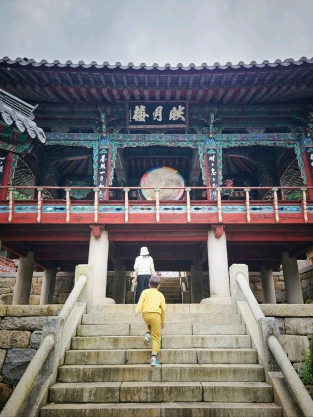 삼척 단풍으로 물든 🤎천은사 가을여행
