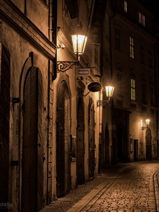 프라하 할로윈🎃 프라하 전염병 의사와 함께하는 야간 투어