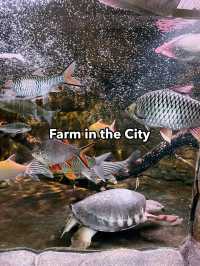 Farm In The City: Interactive Wildlife Experience for the Whole Family