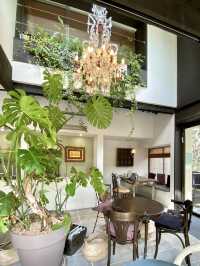 🌿 Hidden Gem in Kamakura’s Hillside: +h cafe kamakura