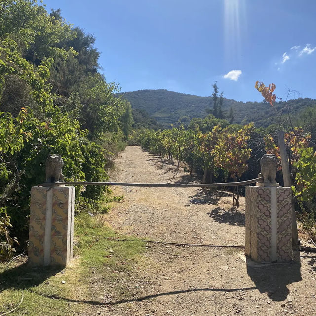 Botanical Garden of Crete
