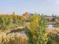 Autumn Tints Beside the Fish-Watching Pavilion