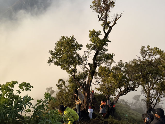 Bromo火山晨曦戶外探險體驗🌋🌄🌏