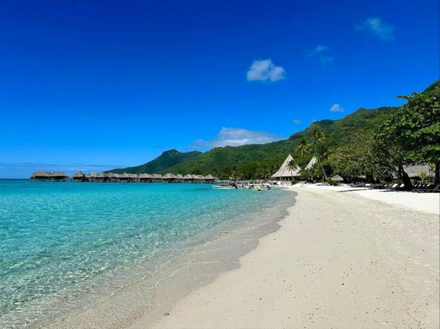 Tropical Bliss and Adventure on Moorea Island