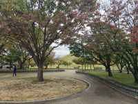 가을여행하기에 너무 좋은 경주 대릉원