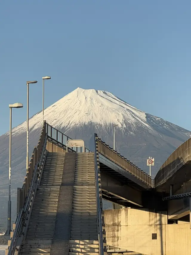 無論在哪裏都能看到富士山的「富士市」。