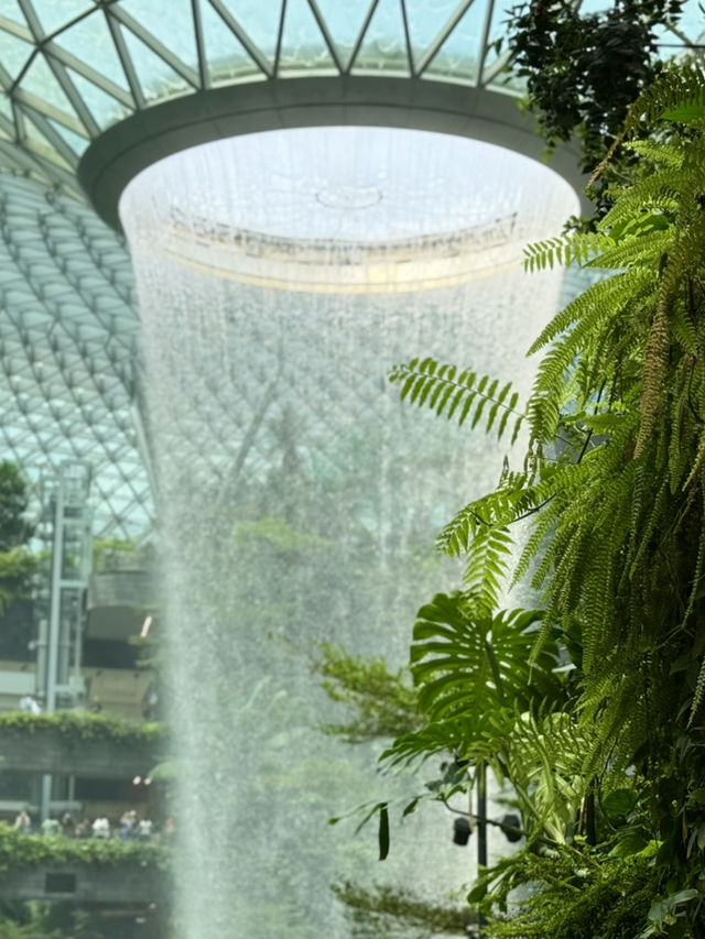Christmas Wonderland Awaits at Jewel Changi 
