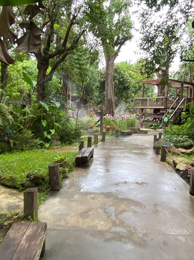 🌿 เปิดวาร์ป “แดนเทวดา” คาเฟ่ที่เล่นใหญ่ที่สุดดดดด 🌿 เปิดวาร์ป “แดนเทวดา” คาเฟ่ที่เล่นใหญ่ที่สุดดดดด