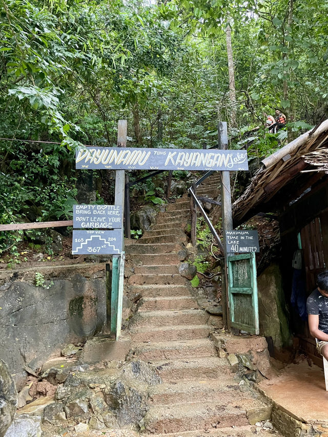 367 steps, a little rain, and a whole lot of turquoise magic. 🏞️🌧️✨