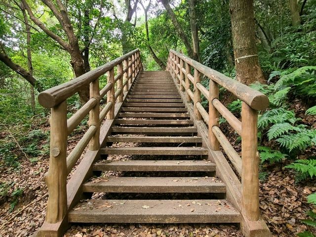 나고야 근교 1박2일 여행일정~!