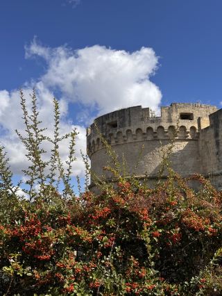 The Timeless Stone City, Matera