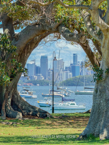 🇦🇺시드니에서 꼭 가야 하는 바다 뷰 스팟, 왓슨스베이 Watsons Bay🇦🇺