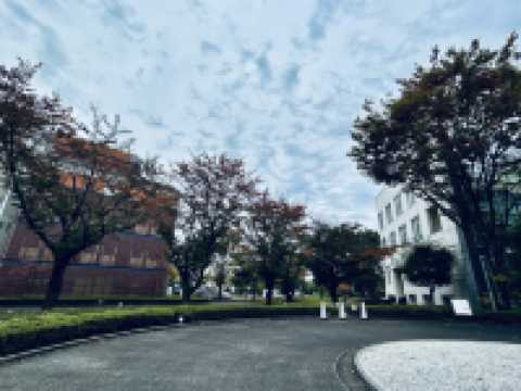 #東京國立新美術館