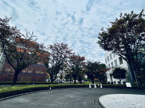 #東京國立新美術館 #東京國立新美術館