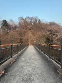 Sunset City Glow🌇