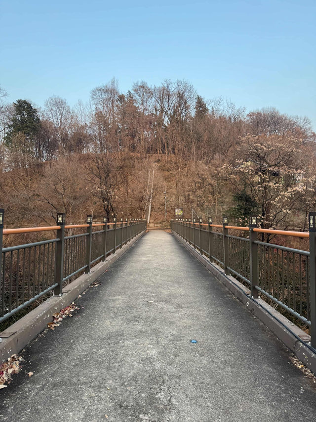 Sunset City Glow🌇 Sunset City Glow🌇