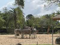 DaNang and Hoi An Magic holiday escape for family✨