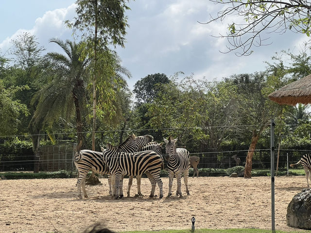 DaNang and Hoi An Magic holiday escape for family✨ DaNang and Hoi An Magic holiday escape for family✨