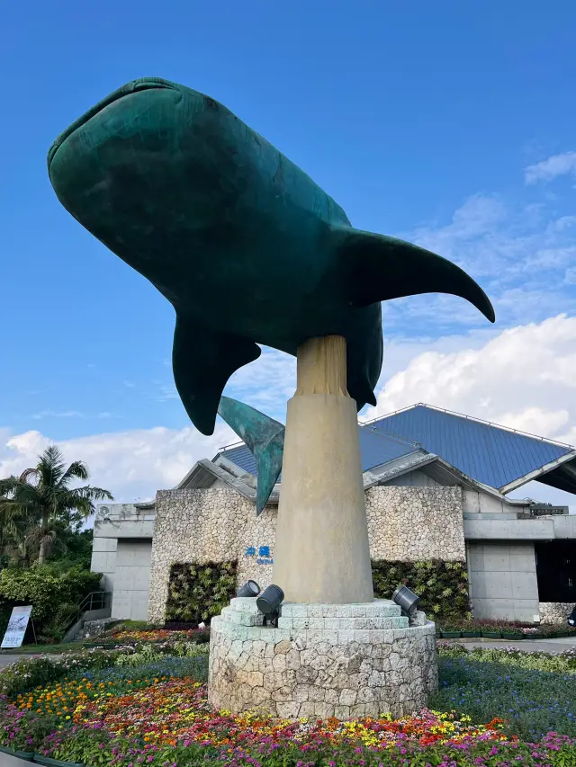 At the Churaumi Aquarium