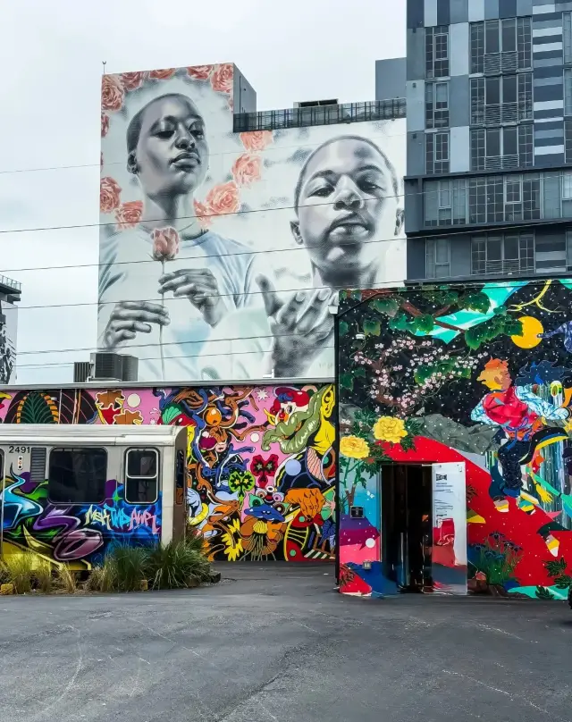 Miami Munch & Stroll: Your Complete Guide