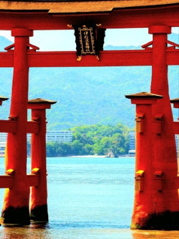 📷Exploring Ibaraki by Day and Night! A Photography Enthusiast's Guide | Coastal Torii Gates, Cherry Blossom Views, and Nighttime Street Culture 🌅🌸