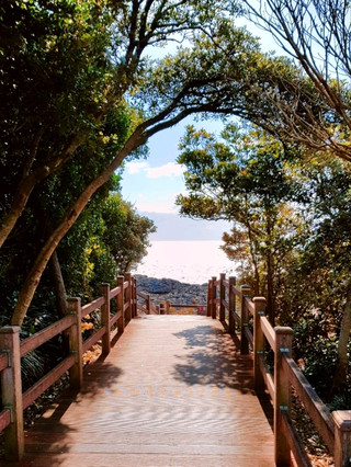 🌊 서귀포 앞바다 산책섬, 새섬