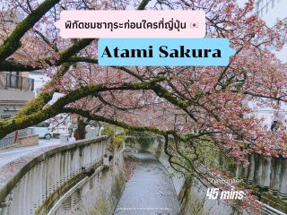 早咲きの桜が楽しめる「熱海」