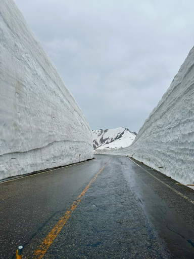 富山•立山】高さ13mの雪の壁❄️雪の大谷🧊まるで別世界な絶景ロード
