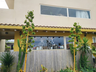 沖繩舒芙蕾天花板!Trip Cafe Okinawa:這份「雲朵鬆餅」真係好食到癲!☁️