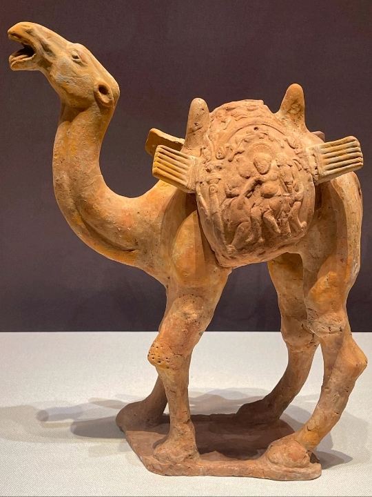 🏛️ Xi'an Museum | Exploring Chang'an — 30 Years of