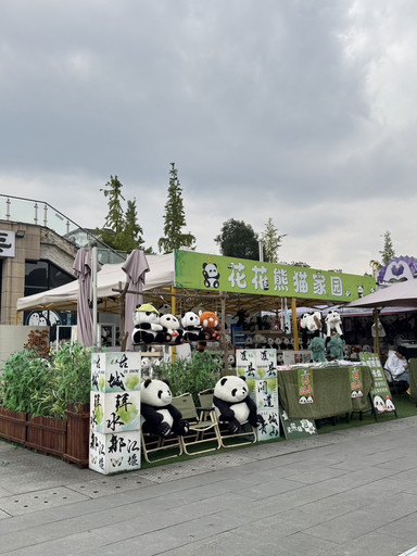 西街·杨柳河街盖碗茶 参考图 3