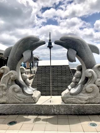 [Ibaraki] Weekdays in Oarai Are the Best! A Relaxing Seaside Aquarium Trip to Aqua World Oarai.