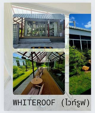 Whiteroof.