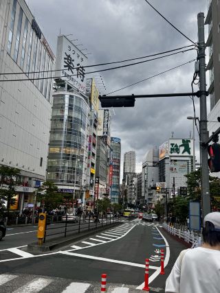 WOW-EFFECT GUARANTEED! TOKYO: THE CITY THAT WILL REVOLUTIONIZE YOUR VIEW OF THE WORLD! 