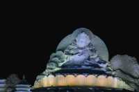 🇨🇳❄️ Discover China's Magical Ice Festival
