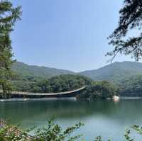 파주 양주 마장호수 출렁다리 산책길😅