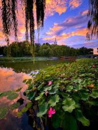 Perfect sunset glow, the white pagoda is photo amazing!