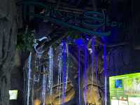 The Shore Oceanarium 