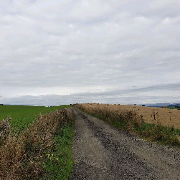 🌿🏞️ Explore the Wilderness: Stirling Nature Reserve 🏴󠁧󠁢󠁳󠁣󠁴󠁿🌲


