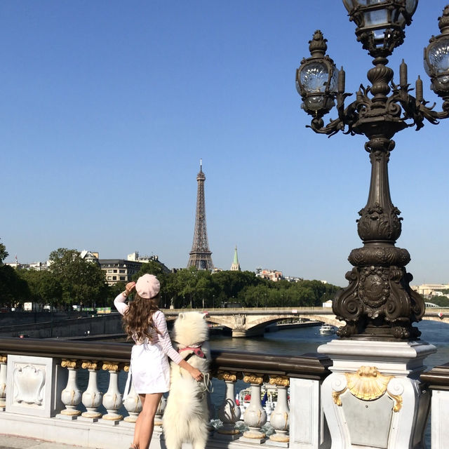 Elegance and Iconic Views of the Eiffel Tower