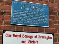 Chelsea Physic Garden 🇬🇧
