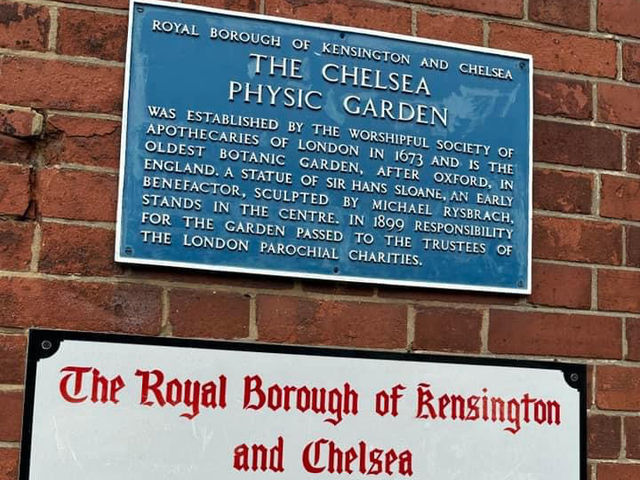 Chelsea Physic Garden 🇬🇧