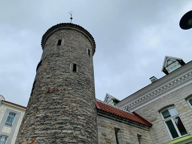 愛沙尼亞🇪🇪景點-塔林城牆及閘門