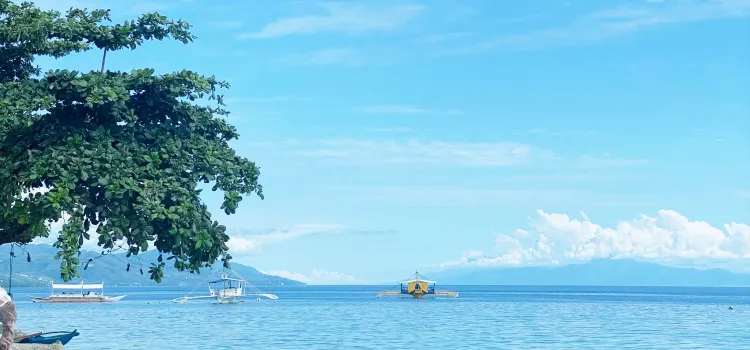 Chief Mau Moalboal Cebu