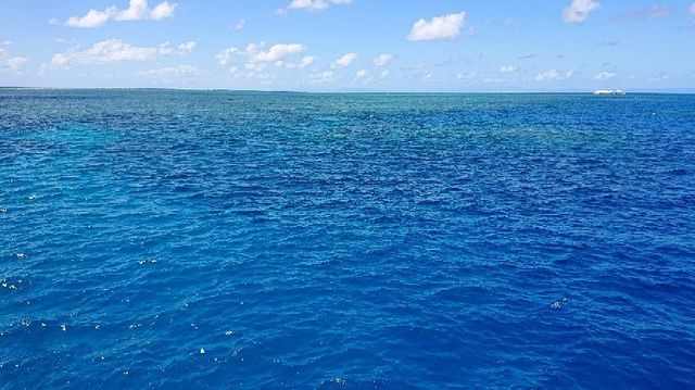 Discovering the Great Barrier Reef